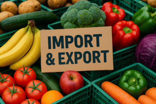 ChatGPT Image Aug 26, 2025, 04_47_14 AM